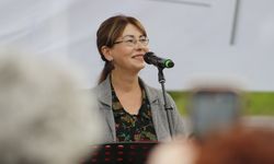 13 yıl önceki fotoğraf sebebiyle konseri iptal edildi