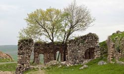 Feqiyê Teyran mirası yok mu ediliypr?