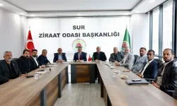 Diyarbakır Tarım Zirvesi: Artan Elektrik Borçları Çiftçiyi Bitirdi