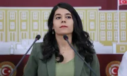 Beritan Güneş: "Ücretsiz kreşler yaygınlaştırılmalı"