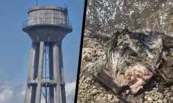 Diyarbakır'da Su Skandalı: Musluklardan Güvercin Tüyü Akıyor