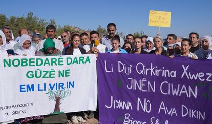 Şırnak Besta'da talanına karşı doğa nöbeti