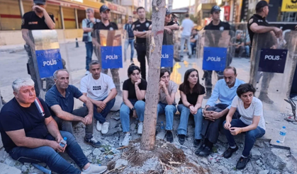 Kayyum atanan Batman Belediyesi ağaçları kesiyor