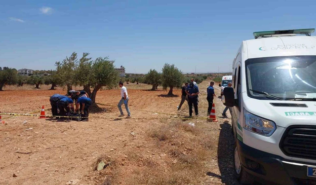 Gaziantep’te zeytin tarlasında şüpheli ölüm