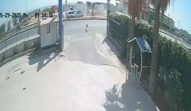 Köpeğe çarpmamak için duran araca 3 araç çarptı