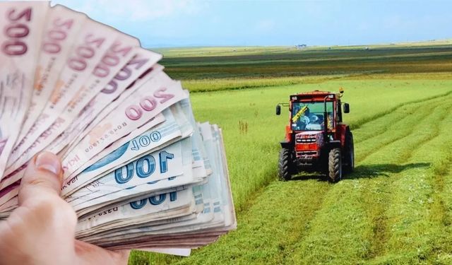 Zirai don destek ödemeleri Kurban Bayramı sonrası yapılacak