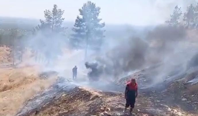 Şanlıurfa’da sönmemiş sigara izmariti yangınlara yol açtı