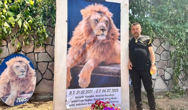 Aslan Zeus’un öldürülmesine ilişkin suç duyurusu
