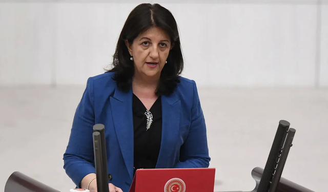 DEM Parti: "Bu yalnızca bir süreç ittifakı, herkesin yolu belli"