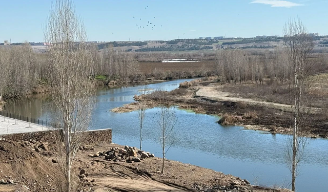 Dicle isminin kökeni nereden geliyor ve Dicle nehrinin diğer isimleri nelerdir?