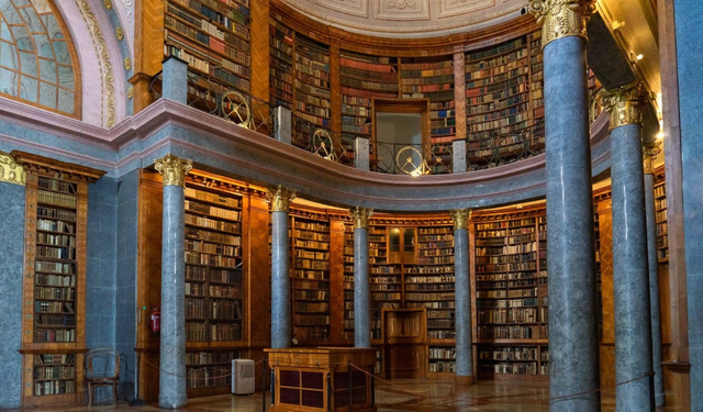 Bin yıllık kütüphanede böcek alarmı: 100 bin kitap tehlikede