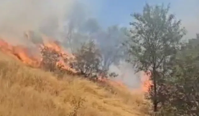 Mardin’de yangın paniği: Müdahale devam ediyor