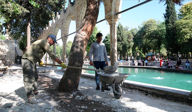 Şanlıurfa’daki tarihi Balıklıgöl restore ediliyor