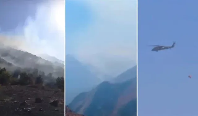 Hakkari'de orman yangını: Yüksekova’da Mücadele Sürüyor