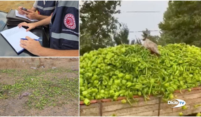 "Para etmeyen biberleri" hayvanlara veren çiftçi hakkında inceleme