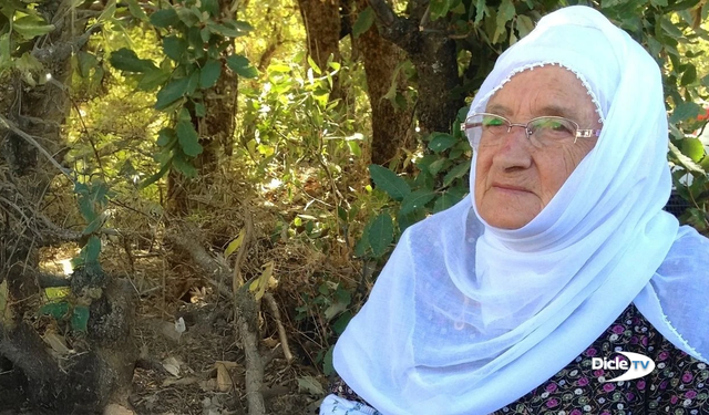 Sakine Arat'ın adı Diyarbakır'da bir caddeye verildi