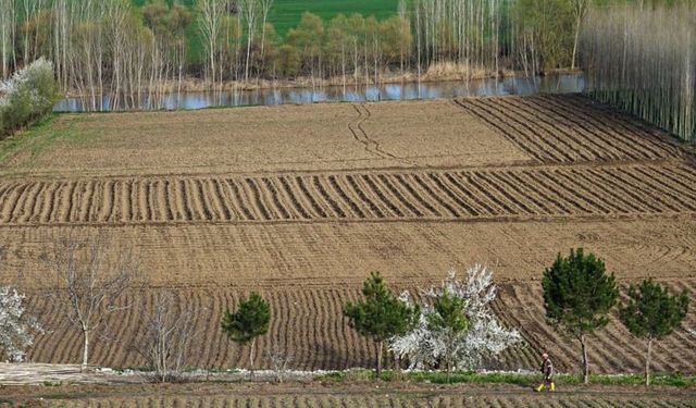 Organik cennet Hevsel, endüstriyel tarlaya dönüşüyor