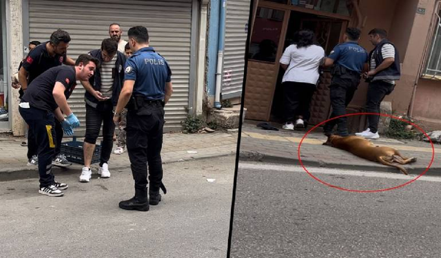 Kavga ihbarına gelen bir polisi ısırdı, diğerini köpeğine ısırttı!