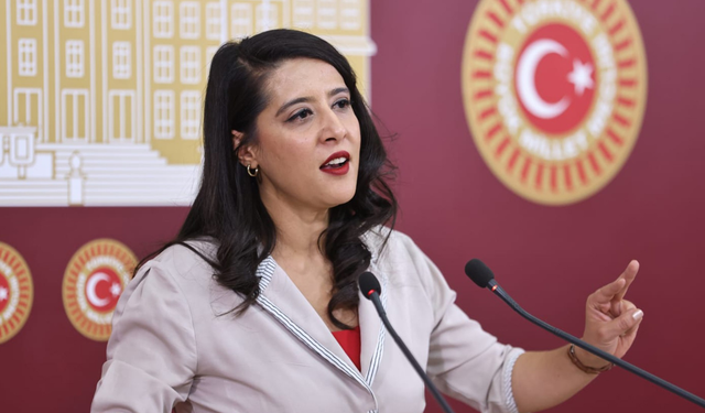Sevda Karaca Bakanlığa sordu: Verileri neden gizliyorsunuz?