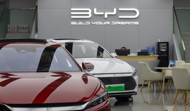 Arıza var: BYD 115 binden fazla aracını geri çağırdı