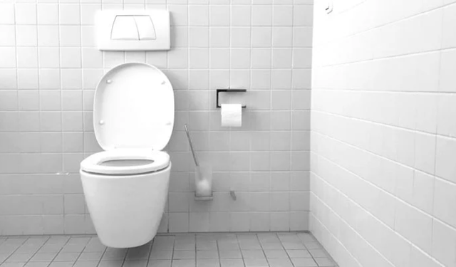 Sağlık teknolojisinin son durağı: Kaka izleme kamerası