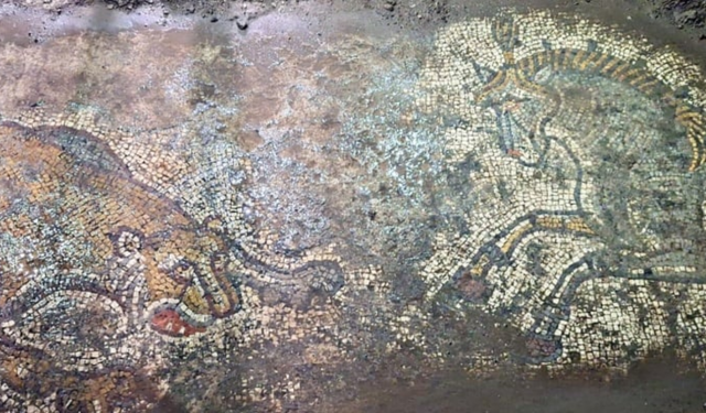 Mardin’de 1500 yıllık Roma dönemi mozaiği ele geçirildi