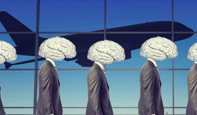 Her 50 üniversite mezunundan biri ülke dışında