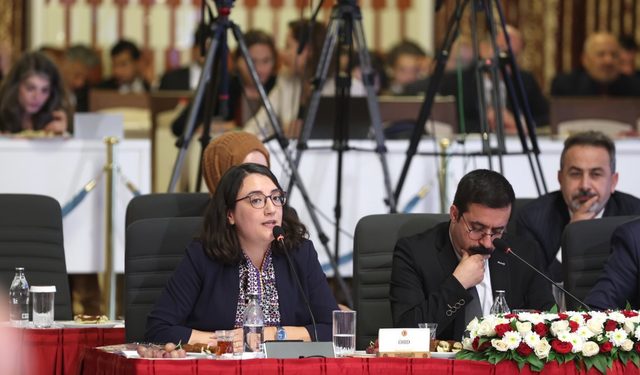 ÖHD’den Meclis’e 55 sayfalık rapor: “Öcalan dinlenmeli”