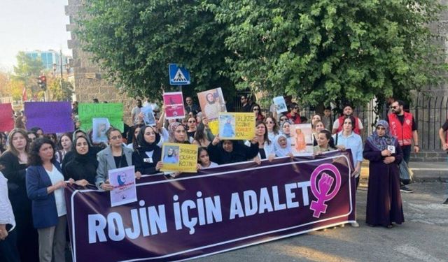 Rojin Kabaiş’e Hakaret Eden Erkek Tutuklandı