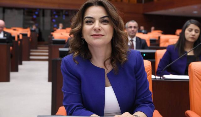 DEM Parti adına İmralı'ya gidecek kişi belli oldu