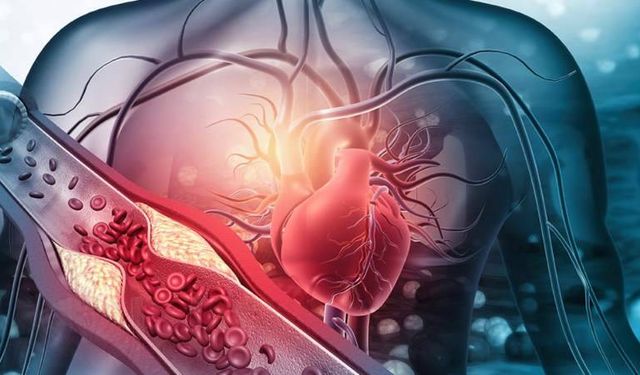 Dr. Gürkarhan: Sertleşme sorunu kalp hastalığı belirtisi olabilir