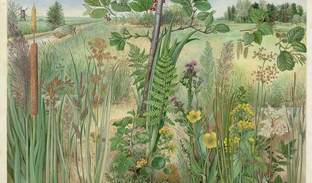 Ekolojik Kazananlar: Hangi Türler Dünyayı Ele Geçiriyor?