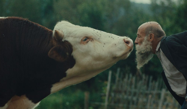 Ankara Film Festivali başlıyor