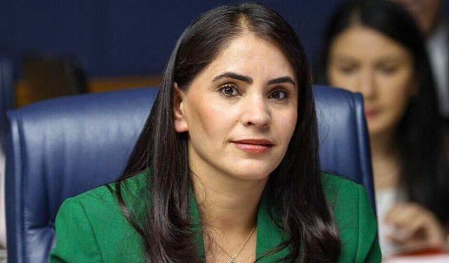 “Barış Türkiye’yle sınırlı değil: Bütçede çelişki var”