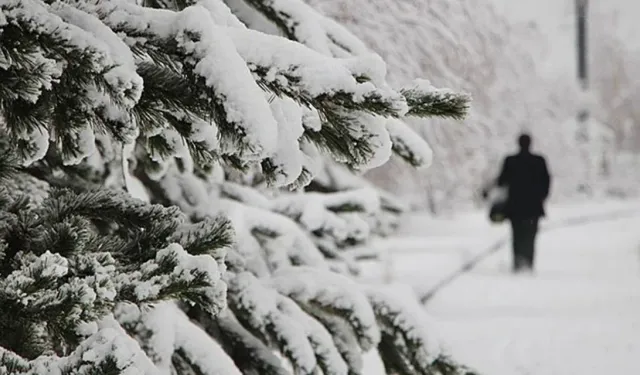 Eğitime kar engeli: 13 ilde okullar tatil edildi