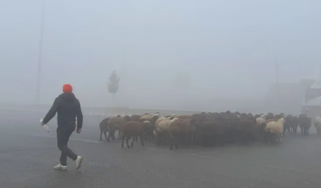 Türkiye'de hava kirliliği raporu: Diyarbakır en temiz ikinci il