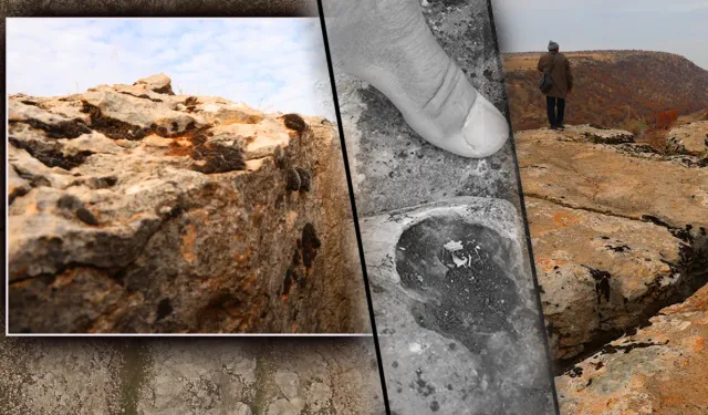 Diyarbakır'da milyonlarca yıllık fosiller bulundu