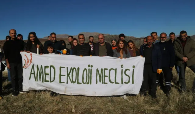 Kürt kentlerinde ekoloji direnişi: 10 bin palamut ekildi