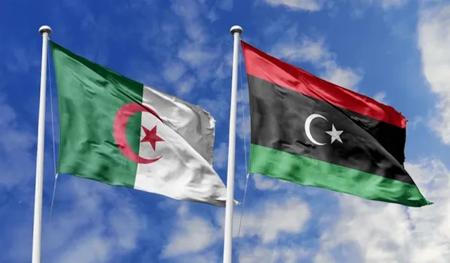 Cezayir, Fransız sömürgeciliğini suç sayan yasayı kabul etti