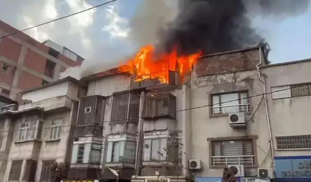 Diyarbakır'da "güvercin oteli"nde yangın: 150 güvercin öldü