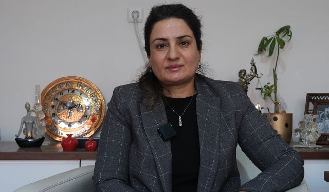 Özbingöl: Öcalan’ın özgürlüğü raporun merkezinde olmalı