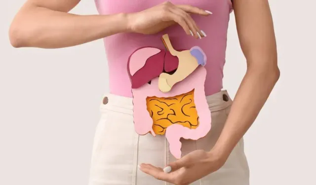 Bağırsak sağlığı için nelere dikkat etmeliyiz?