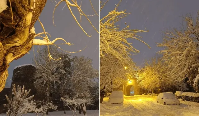 Diyarbakır’da kar esareti