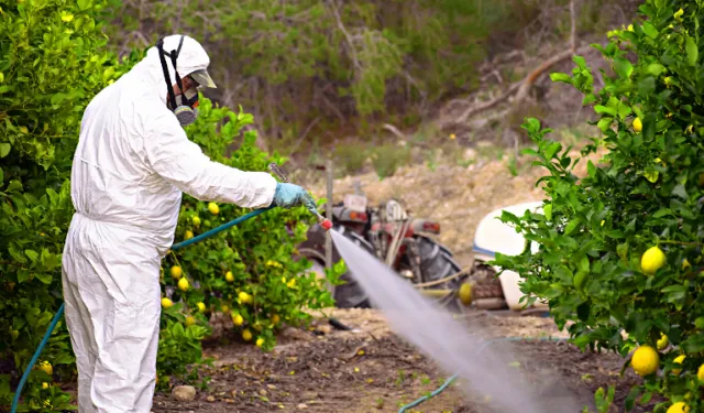 Greenpeace: Türkiye pestisitte ikinci sırada
