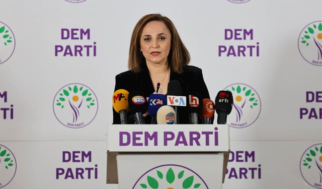 Dem Partili Ayşegün Doğan'dan yeni parti iddialarına yanıt!