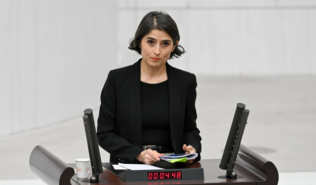 Ceylan Akça Cupolo, Amedspor'u Meclis'e taşıdı: Yanıt istedi