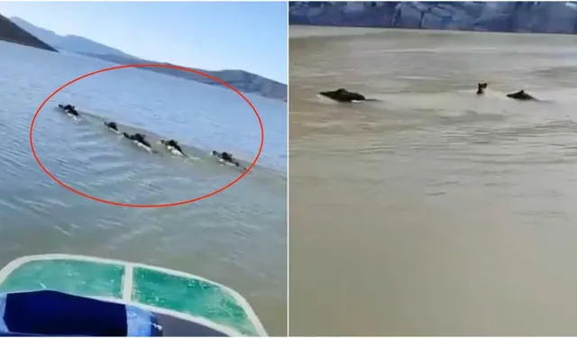 Diyarbakır'da ramazanda endişelendiren görüntü