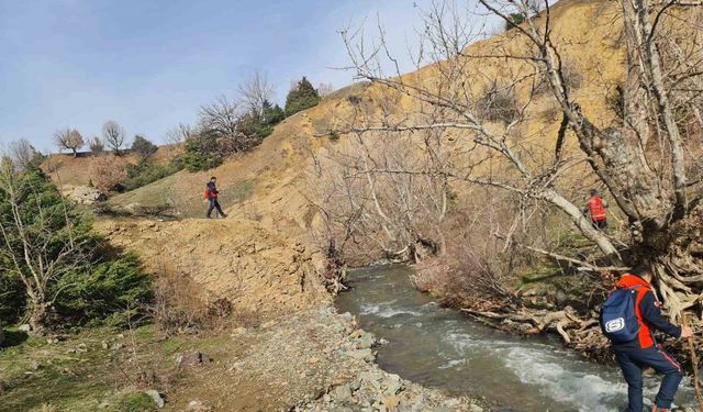 Kulp'ta kayıp yaşlı adamı arama çalışmaları 10’uncu gününde