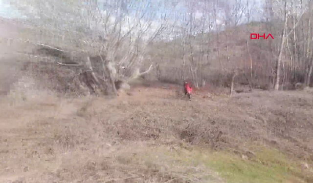 Diyarbakır'daki kayıp arama çalışmaları 15'inci gününde