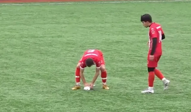 Maçta şutla vurulan martı, kalp masajıyla hayata döndürüldü